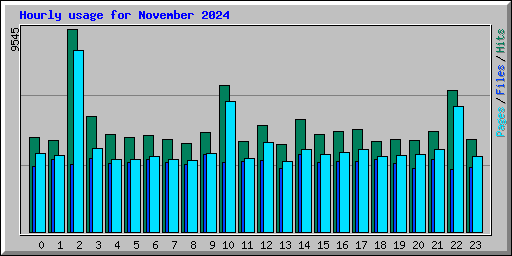 Hourly usage for November 2024