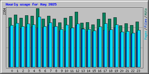 Hourly usage for May 2025