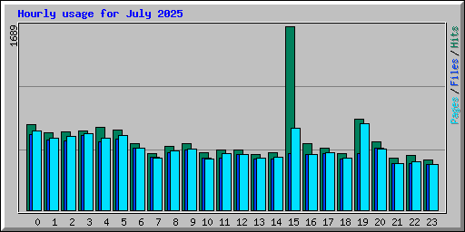 Hourly usage for July 2025