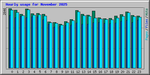 Hourly usage for November 2025