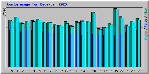 Hourly usage for December 2025