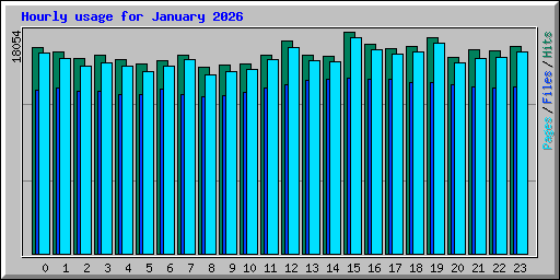 Hourly usage for January 2026