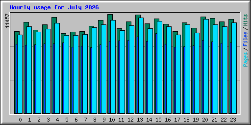 Hourly usage for July 2026