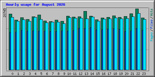 Hourly usage for August 2026